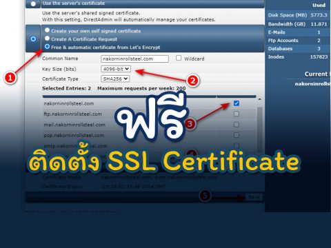 ติดตั้ง ssl certificate ฟรี